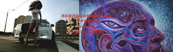 spice Сафоново